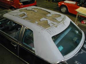 shell top before