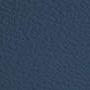 Leatheret Blue