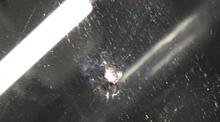windshield repair chip repair 